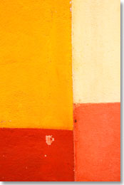 Bild von Gerberer Blumen